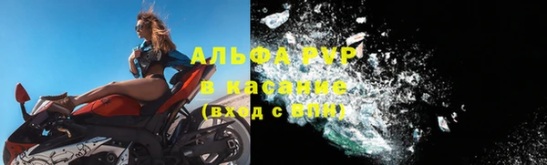 СК Арсеньев