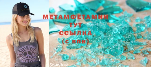 прущие грибы Аркадак